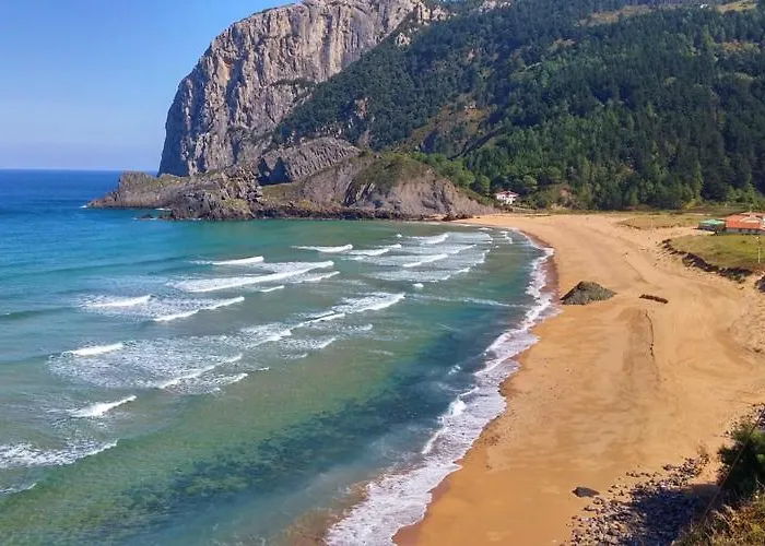 Laga Blue Surf
